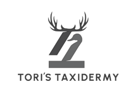 Tori’s Taxidermy