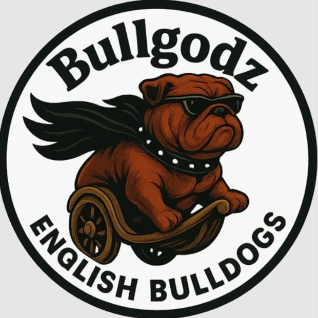 BullGodz HQ